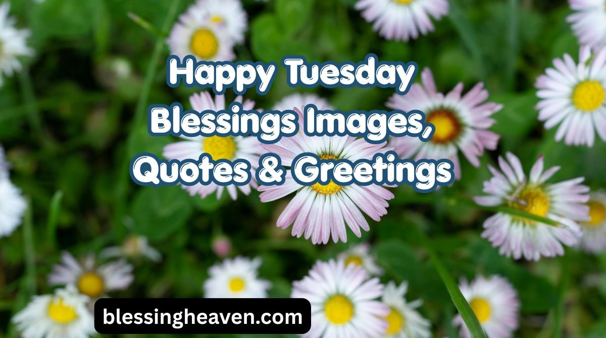 Happy Tuesday Blessings Images, Quotes & Greetings