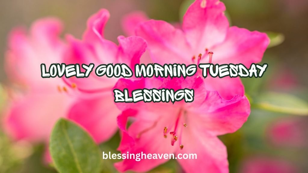 Lovely Good Morning Tuesday Blessings