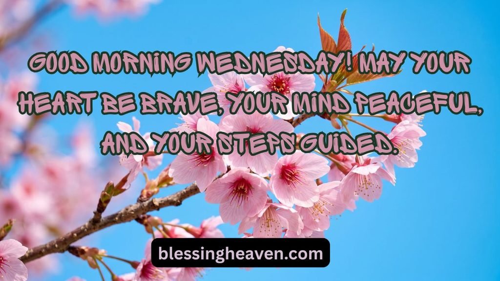 Good morning Wednesday