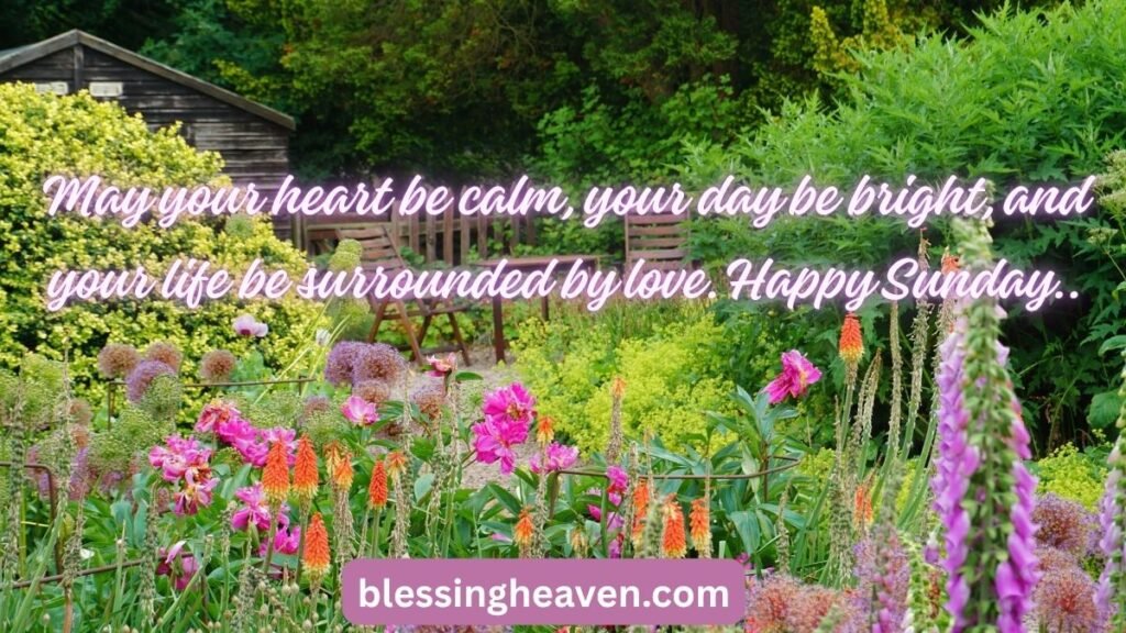 25 Sunday Morning Blessings for Loved Ones