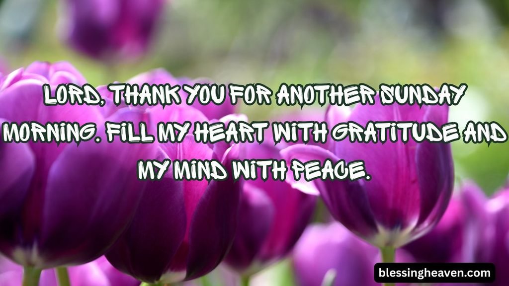 25 Sunday Morning Prayers and Quotes